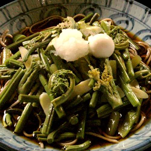 Sansai Soba