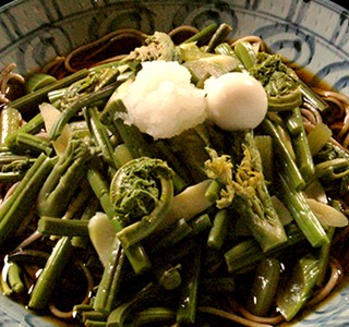 Sansai Soba