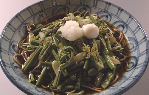 Soba Sansai